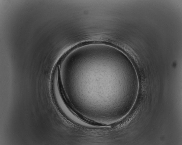 X0000097961077200804011652
