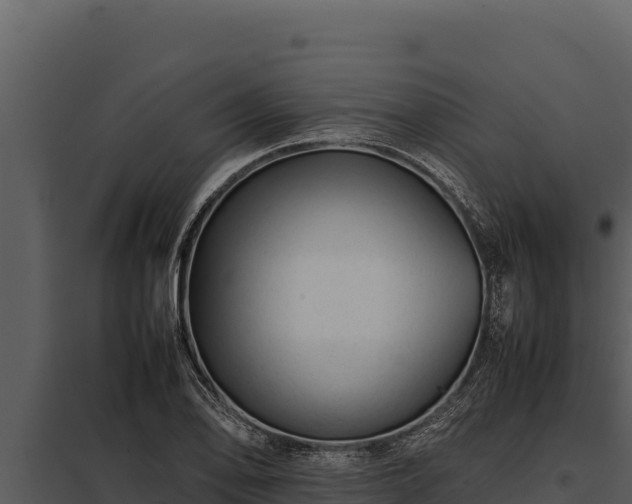 X0000097961078200804011652