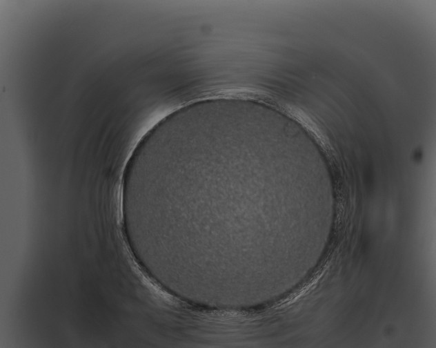 X0000097961079200804011652