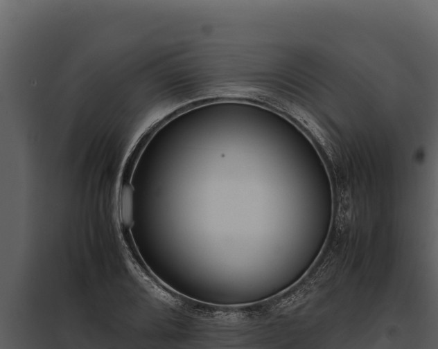 X0000097961080200804011652