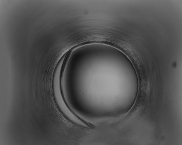 X0000097961081200804011652