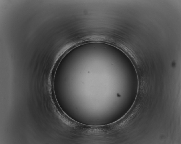X0000097961082200804011652