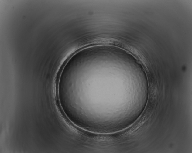 X0000097961083200804011652