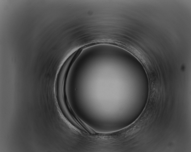 X0000097961084200804011652