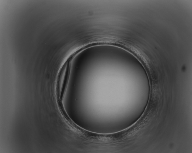 X0000097961085200804011652