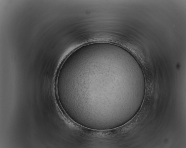 X0000097961086200804011652