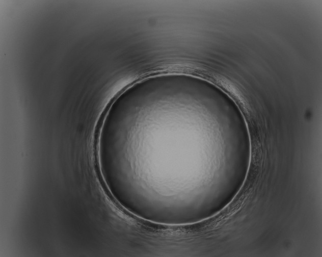 X0000097961087200804011652