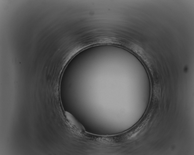 X0000097961089200804011652