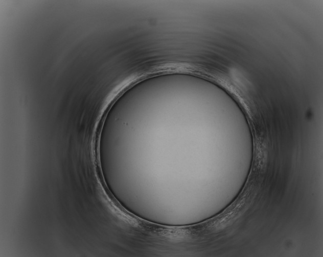 X0000097961090200804011652