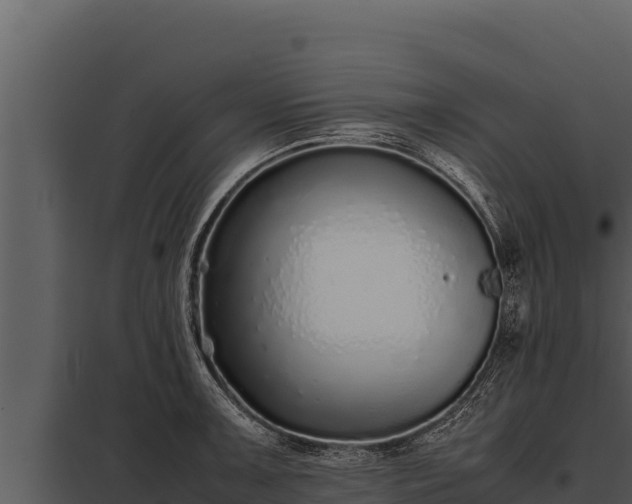 X0000097961091200804011652