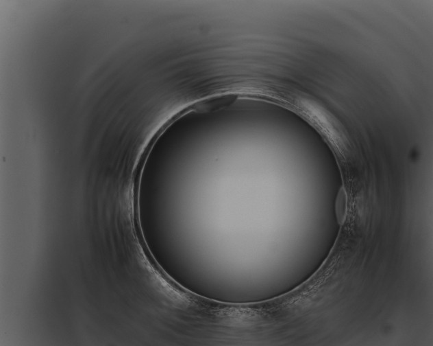 X0000097961092200804011652