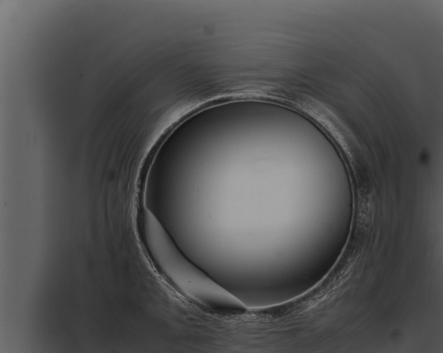 X0000097961093200804011652