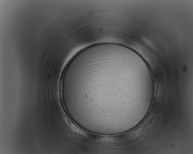 X0000097961094200804011652
