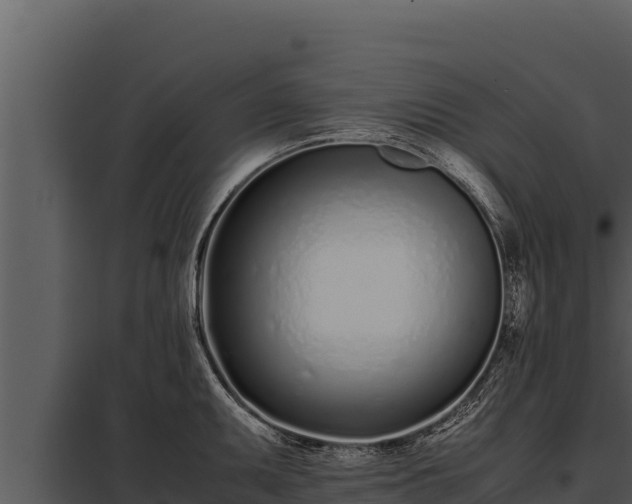 X0000097961095200804011652