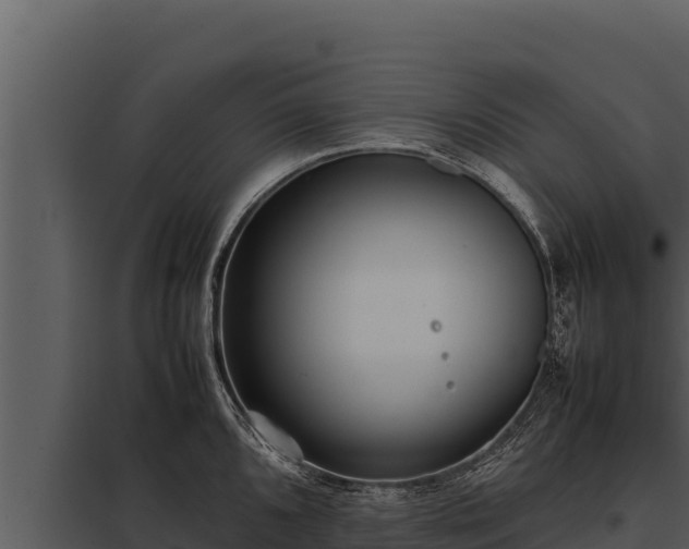 X0000097961096200804011652