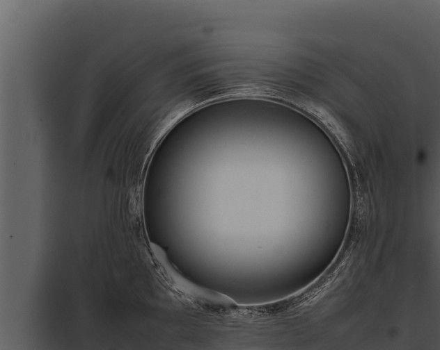X0000097961097200804011652