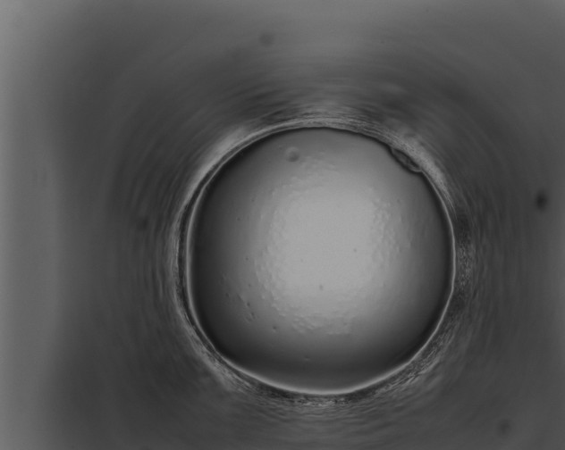 X0000097961099200804011652