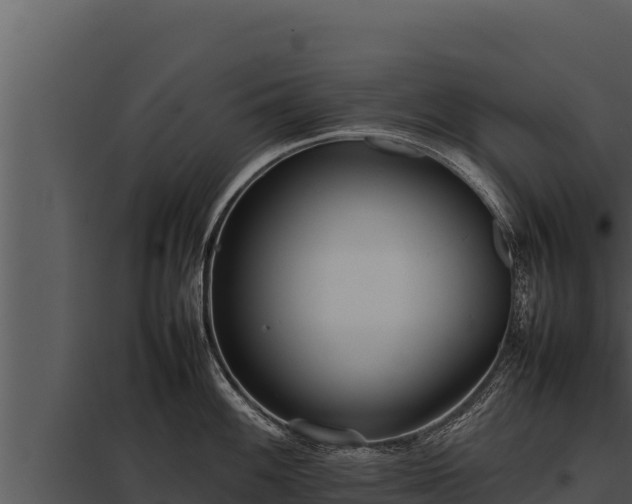 X0000097961100200804011652