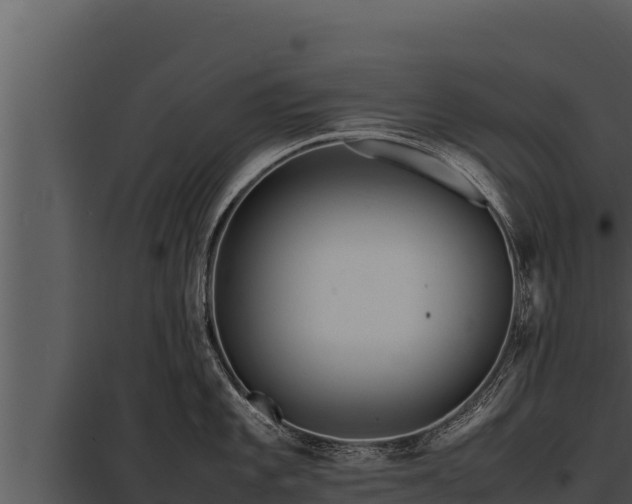 X0000097961101200804011652