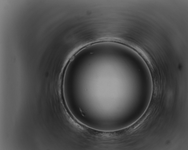 X0000097961102200804011652