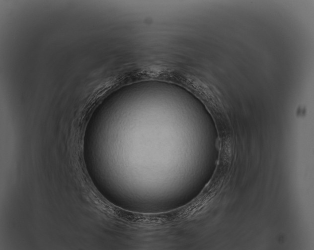 X0000097961105200804011651