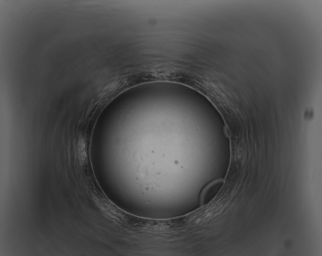 X0000097961106200804011651