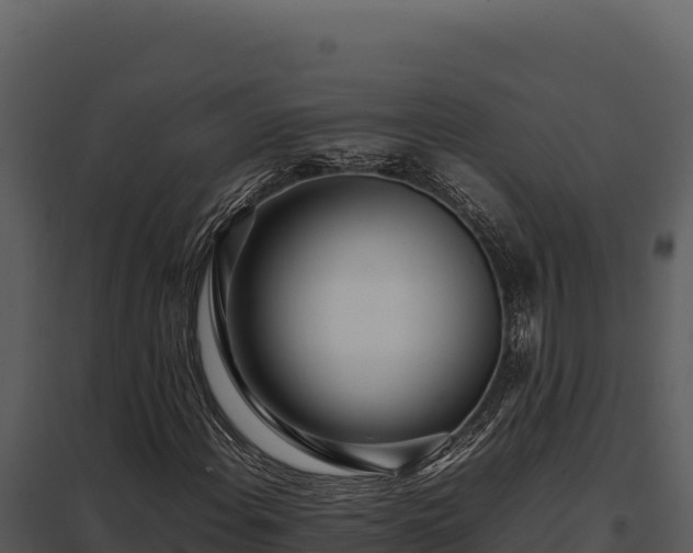 X0000097961108200804011651