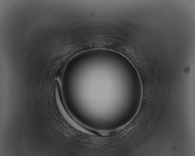 X0000097961109200804011651