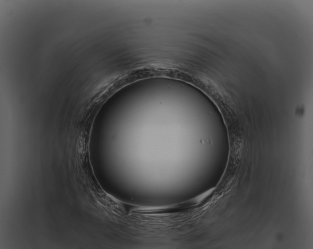X0000097961110200804011651