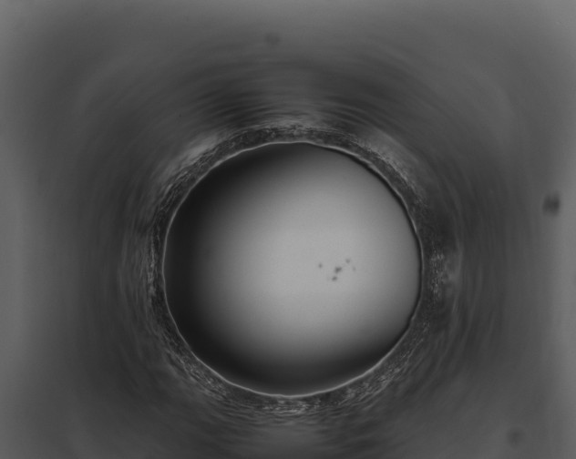 X0000097961111200804011651
