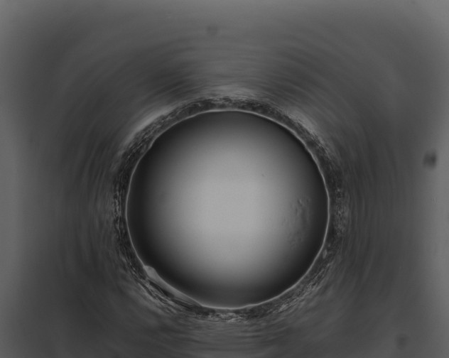 X0000097961112200804011651