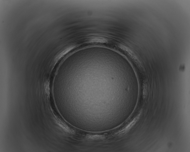 X0000097961113200804011651