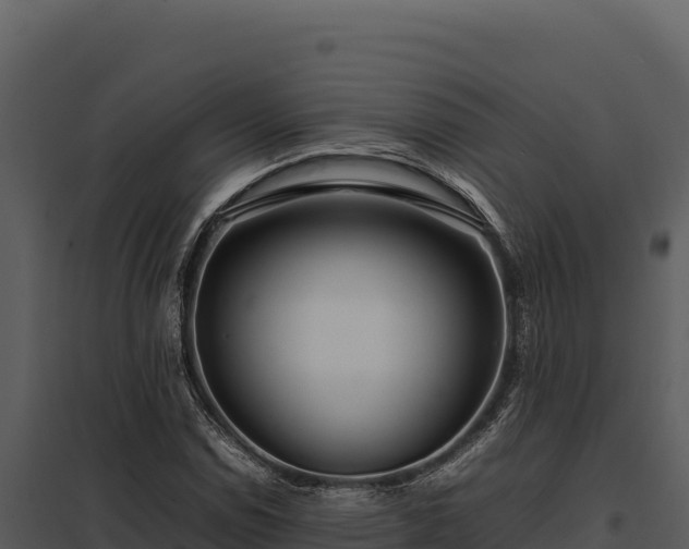X0000097961114200804011652
