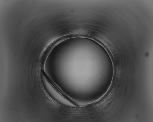 X0000097961115200804011652