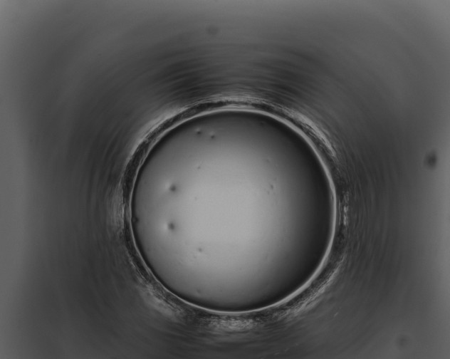 X0000097961117200804011652