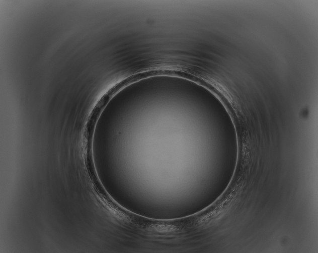 X0000097961119200804011652