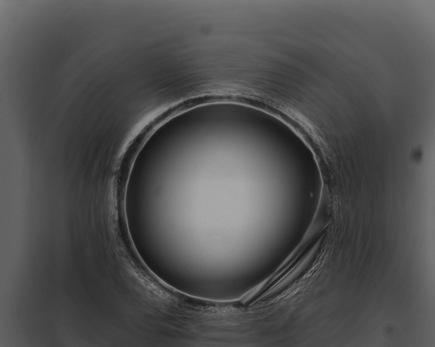 X0000097961120200804011652