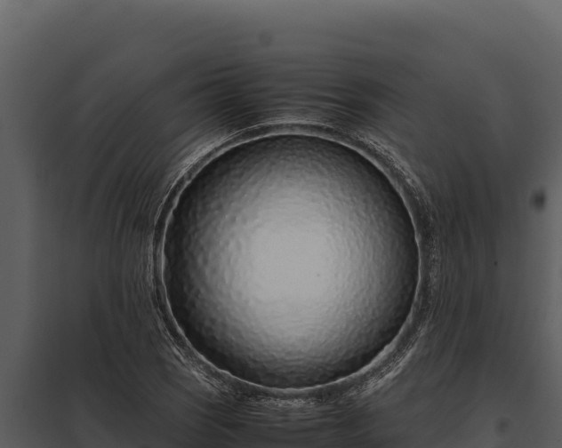 X0000097961121200804011652