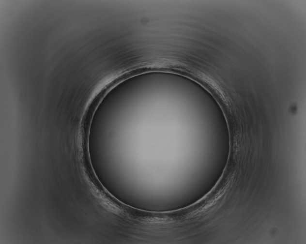 X0000097961122200804011652