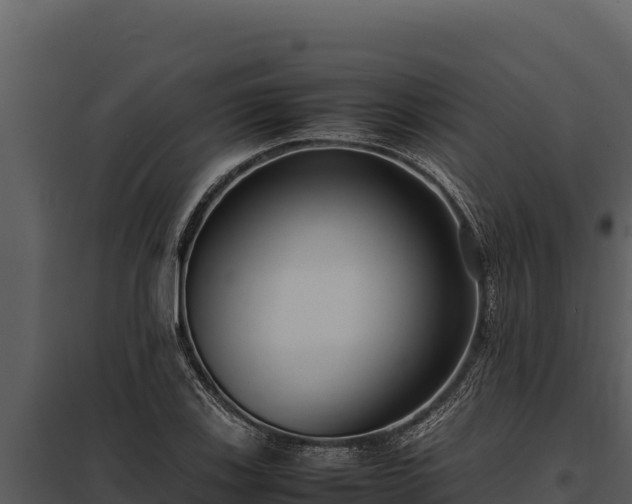 X0000097961123200804011652