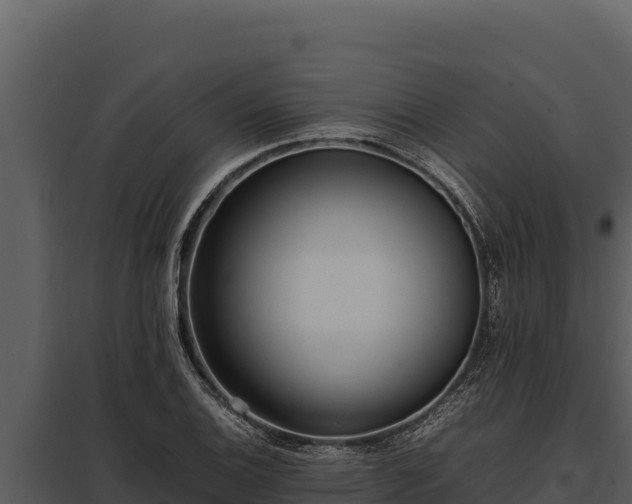 X0000097961124200804011652