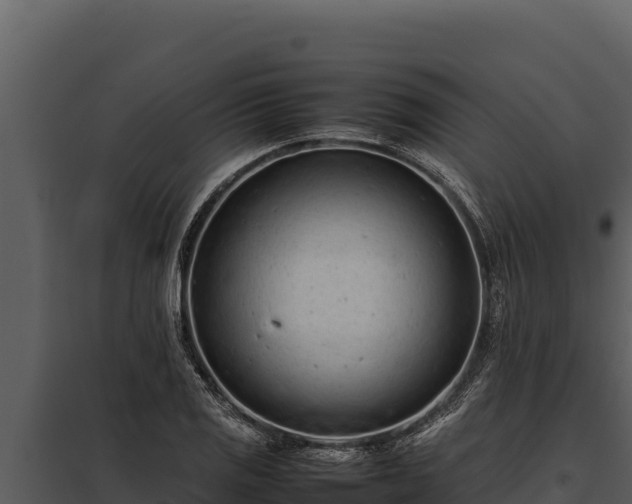 X0000097961125200804011652
