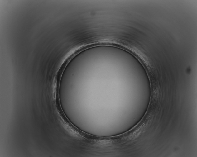 X0000097961126200804011652