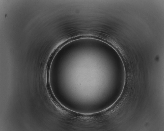 X0000097961127200804011652