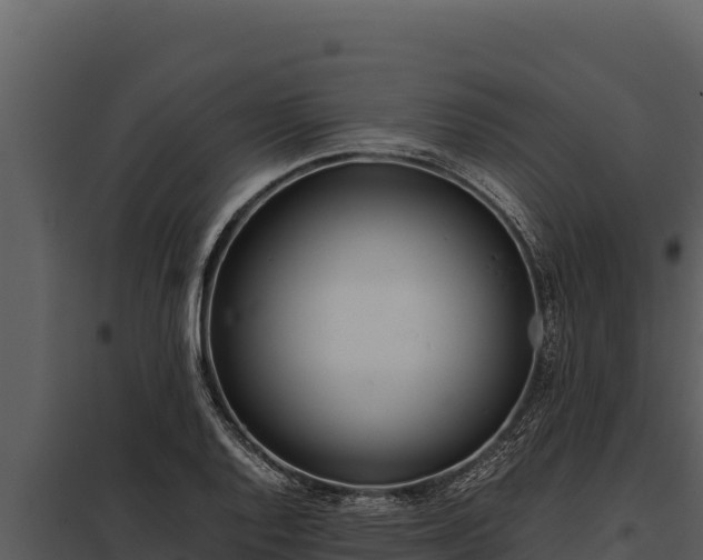 X0000097961128200804011652