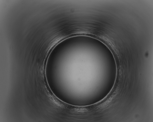 X0000097961129200804011652