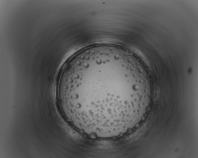 X0000097961130200804011652