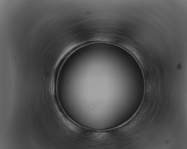 X0000097961131200804011652
