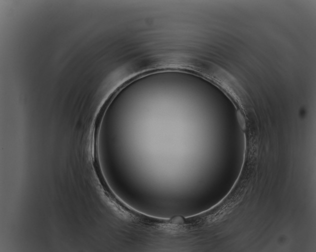 X0000097961132200804011652