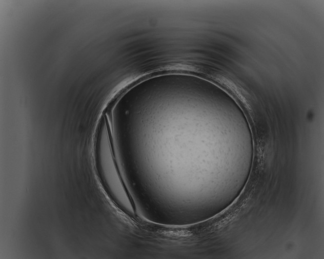 X0000097961133200804011652